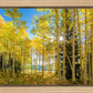 Autumn in the Rocky Mountains, Wasatch National Forest, Utah
