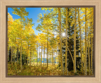 Autumn in the Rocky Mountains, Wasatch National Forest, Utah