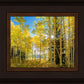 Autumn in the Rocky Mountains, Wasatch National Forest, Utah