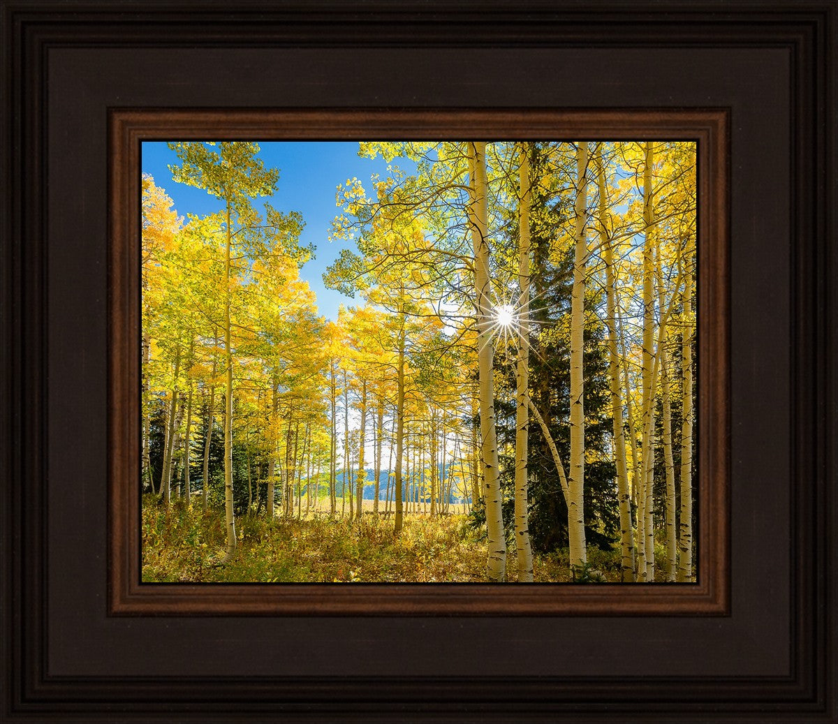 Autumn in the Rocky Mountains, Wasatch National Forest, Utah