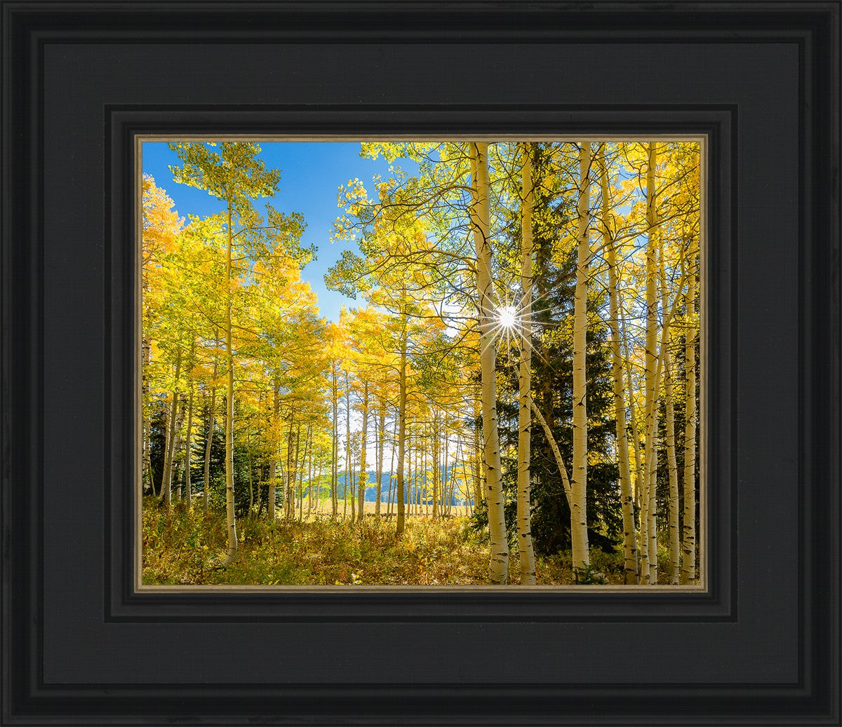 Autumn in the Rocky Mountains, Wasatch National Forest, Utah