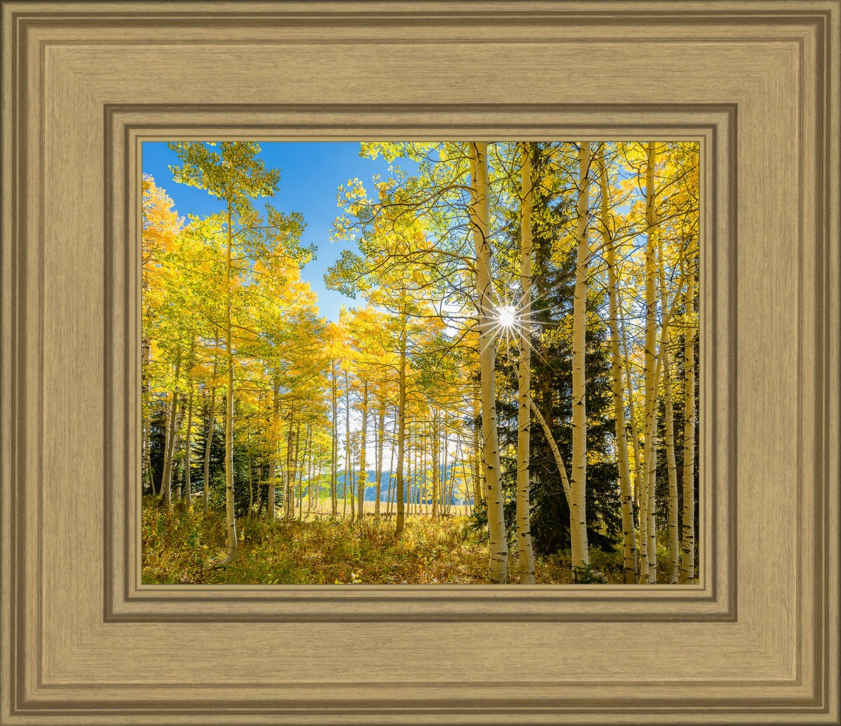 Autumn in the Rocky Mountains, Wasatch National Forest, Utah