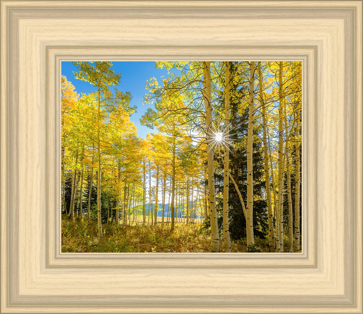 Autumn in the Rocky Mountains, Wasatch National Forest, Utah