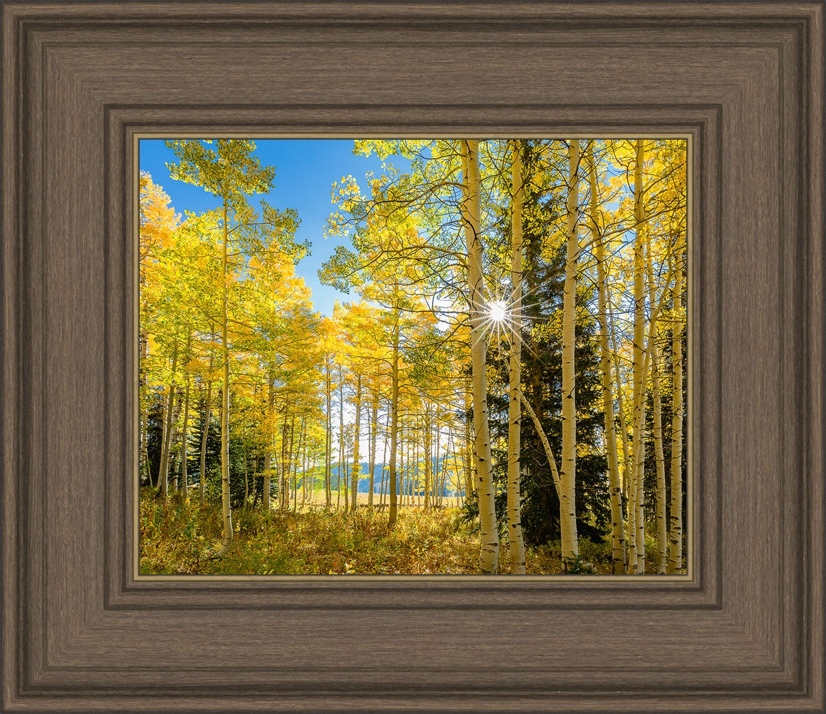 Autumn in the Rocky Mountains, Wasatch National Forest, Utah