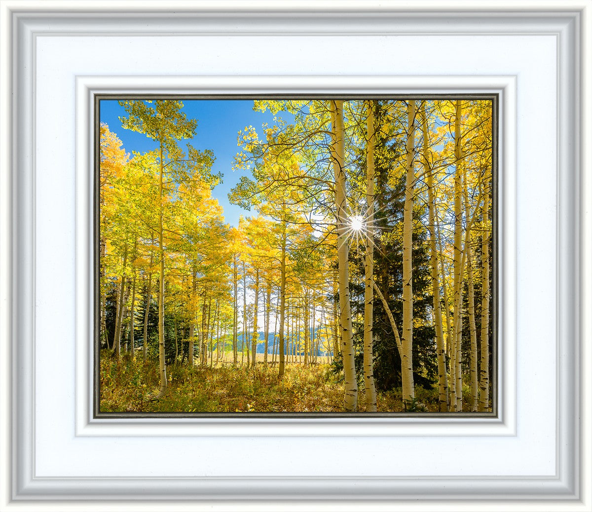 Autumn in the Rocky Mountains, Wasatch National Forest, Utah