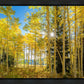 Autumn in the Rocky Mountains, Wasatch National Forest, Utah