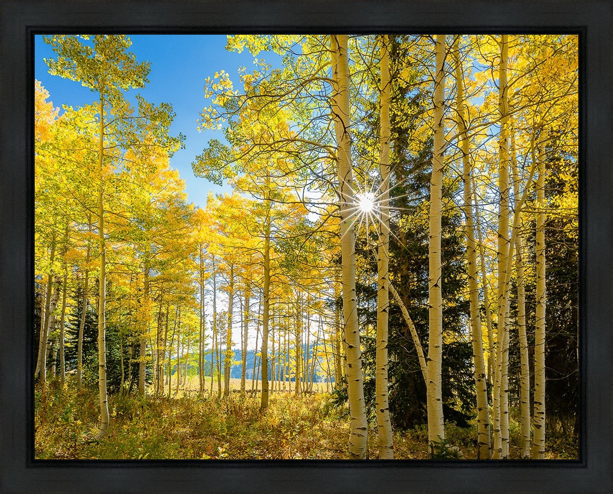 Autumn in the Rocky Mountains, Wasatch National Forest, Utah