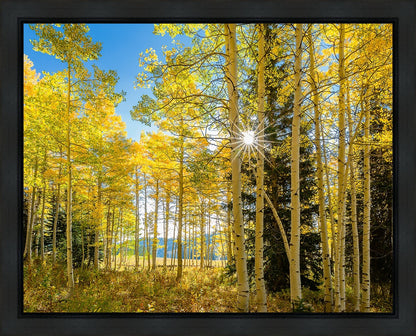 Autumn in the Rocky Mountains, Wasatch National Forest, Utah