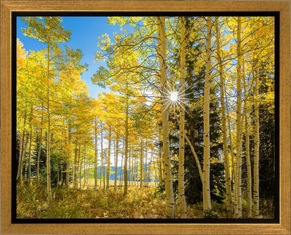 Autumn in the Rocky Mountains, Wasatch National Forest, Utah