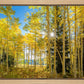Autumn in the Rocky Mountains, Wasatch National Forest, Utah
