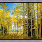Autumn in the Rocky Mountains, Wasatch National Forest, Utah