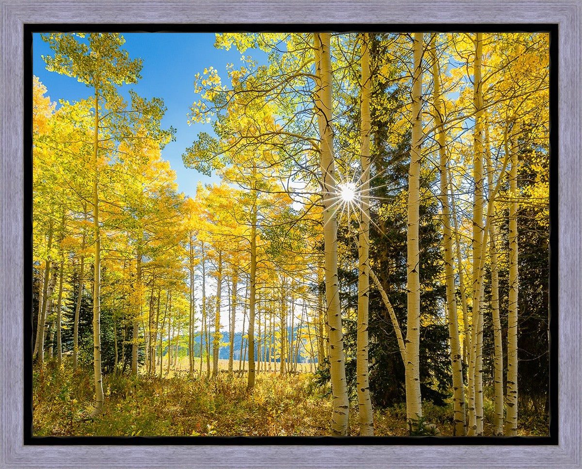 Autumn in the Rocky Mountains, Wasatch National Forest, Utah