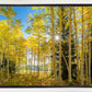 Autumn in the Rocky Mountains, Wasatch National Forest, Utah