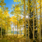 Autumn in the Rocky Mountains, Wasatch National Forest, Utah