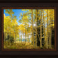 Autumn in the Rocky Mountains, Wasatch National Forest, Utah