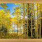 Autumn in the Rocky Mountains, Wasatch National Forest, Utah