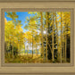 Autumn in the Rocky Mountains, Wasatch National Forest, Utah