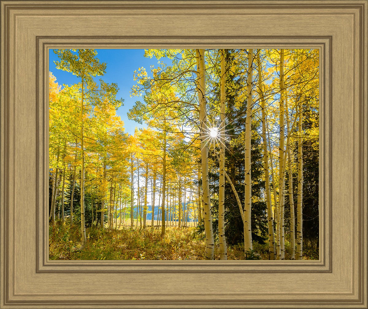 Autumn in the Rocky Mountains, Wasatch National Forest, Utah