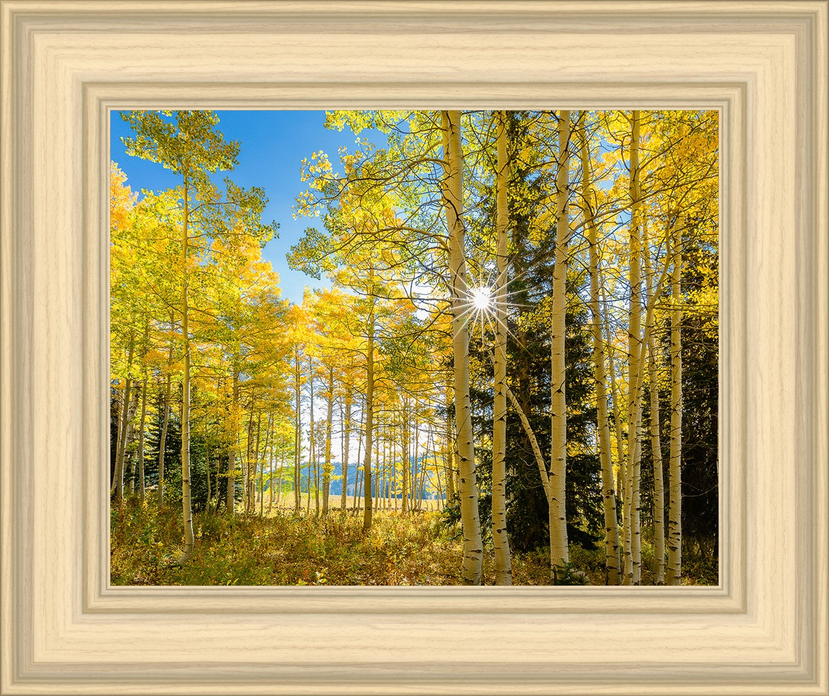 Autumn in the Rocky Mountains, Wasatch National Forest, Utah
