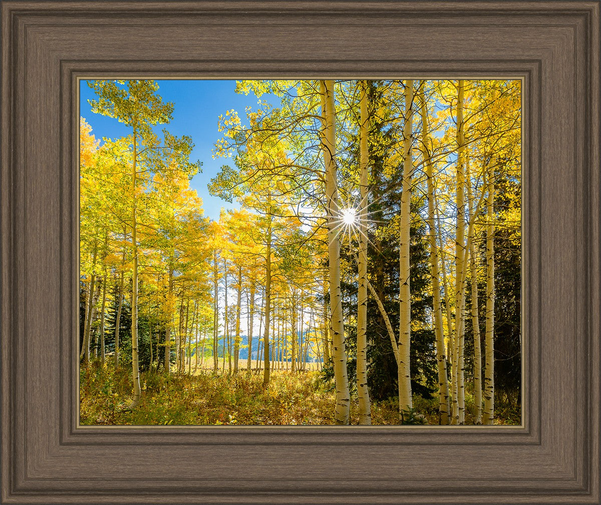 Autumn in the Rocky Mountains, Wasatch National Forest, Utah