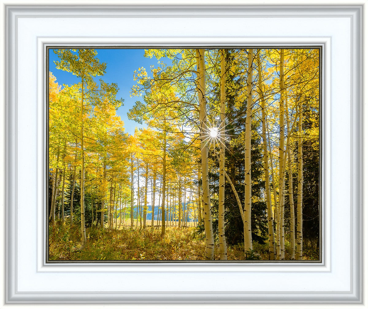 Autumn in the Rocky Mountains, Wasatch National Forest, Utah