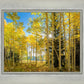 Autumn in the Rocky Mountains, Wasatch National Forest, Utah