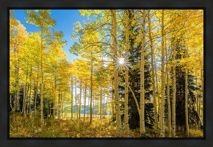 Autumn in the Rocky Mountains, Wasatch National Forest, Utah