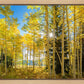 Autumn in the Rocky Mountains, Wasatch National Forest, Utah