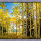 Autumn in the Rocky Mountains, Wasatch National Forest, Utah