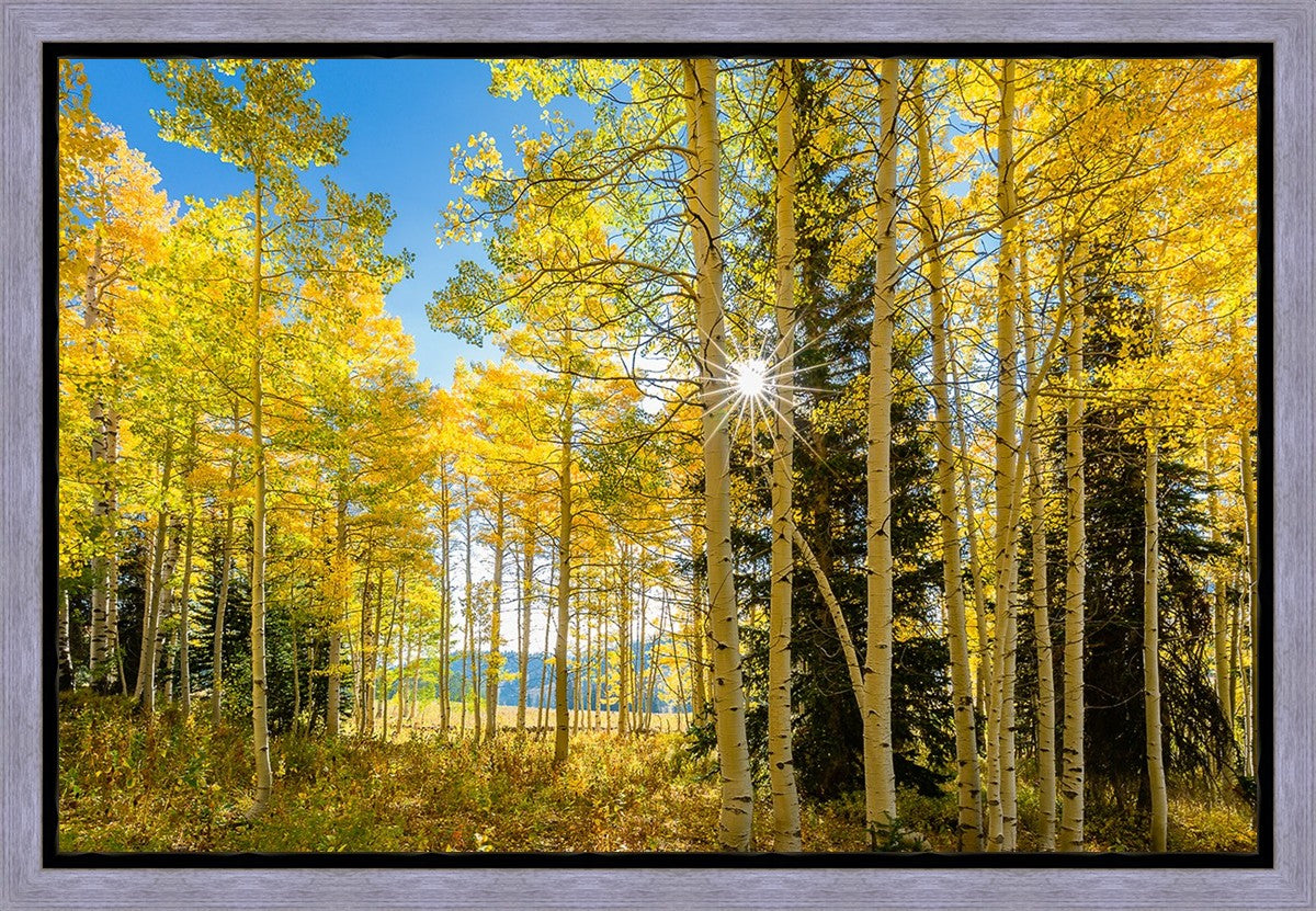 Autumn in the Rocky Mountains, Wasatch National Forest, Utah