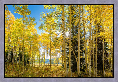 Autumn in the Rocky Mountains, Wasatch National Forest, Utah
