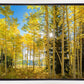 Autumn in the Rocky Mountains, Wasatch National Forest, Utah