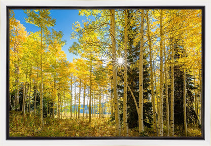Autumn in the Rocky Mountains, Wasatch National Forest, Utah