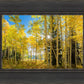 Autumn in the Rocky Mountains, Wasatch National Forest, Utah