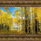 Autumn in the Rocky Mountains, Wasatch National Forest, Utah