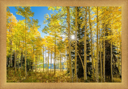 Autumn in the Rocky Mountains, Wasatch National Forest, Utah