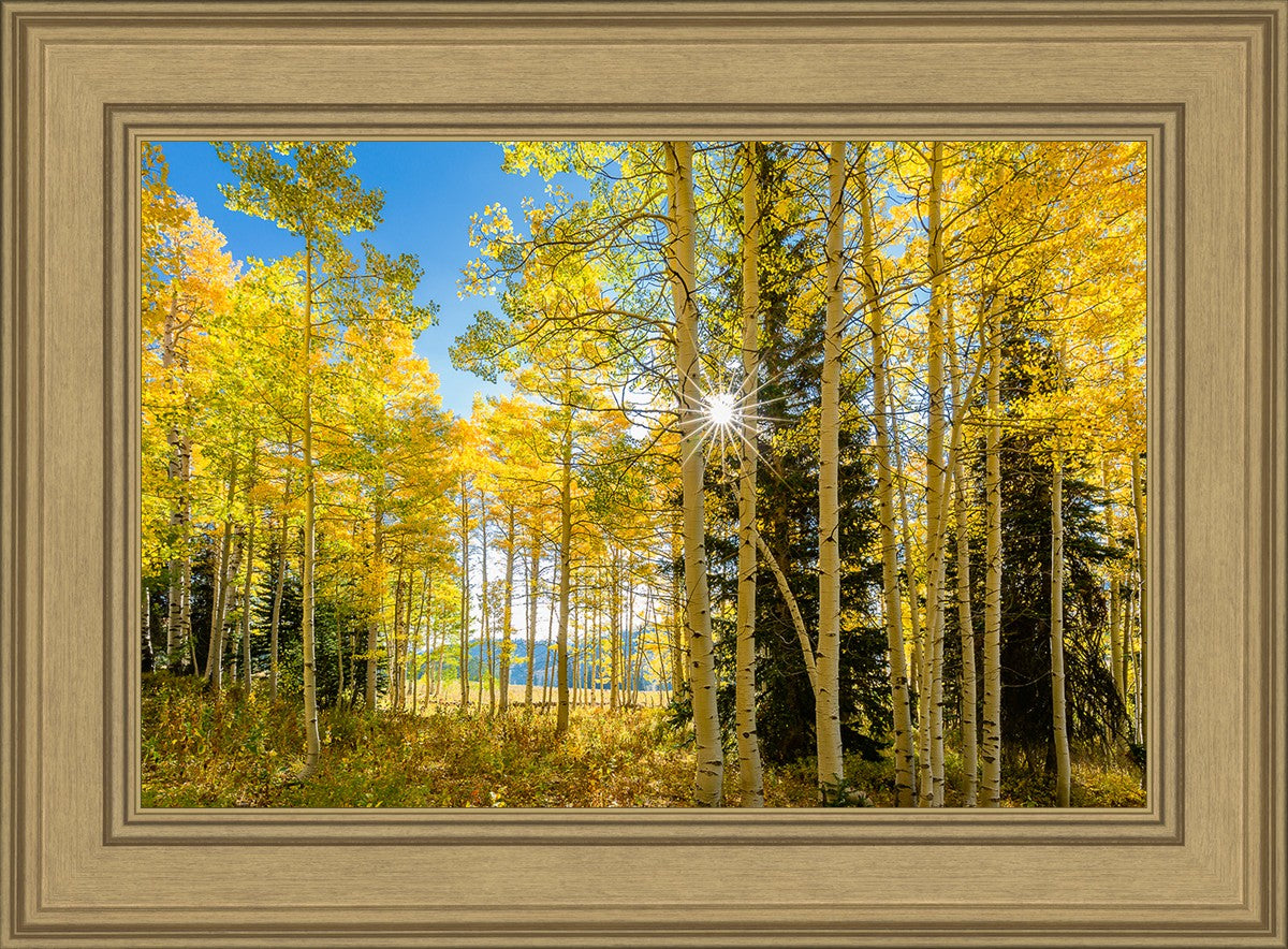 Autumn in the Rocky Mountains, Wasatch National Forest, Utah