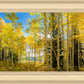 Autumn in the Rocky Mountains, Wasatch National Forest, Utah