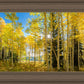 Autumn in the Rocky Mountains, Wasatch National Forest, Utah