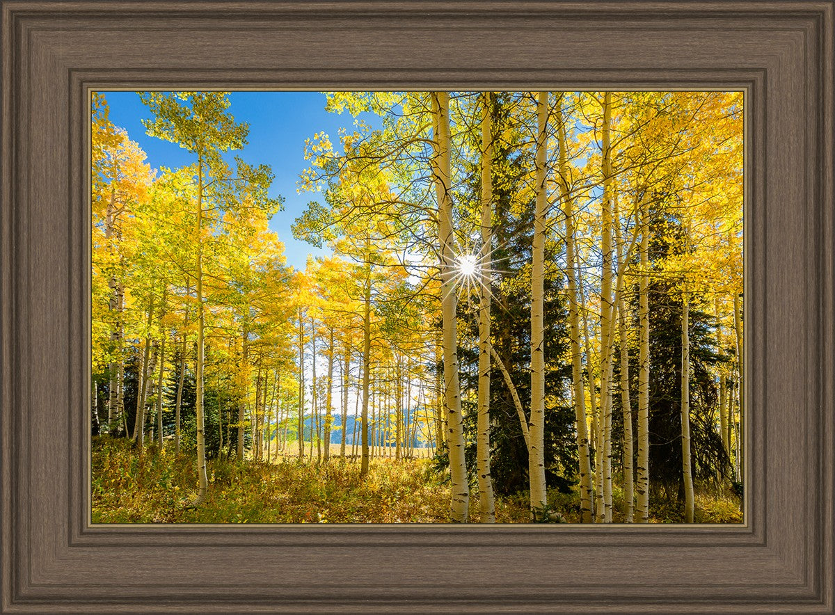 Autumn in the Rocky Mountains, Wasatch National Forest, Utah
