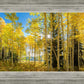 Autumn in the Rocky Mountains, Wasatch National Forest, Utah