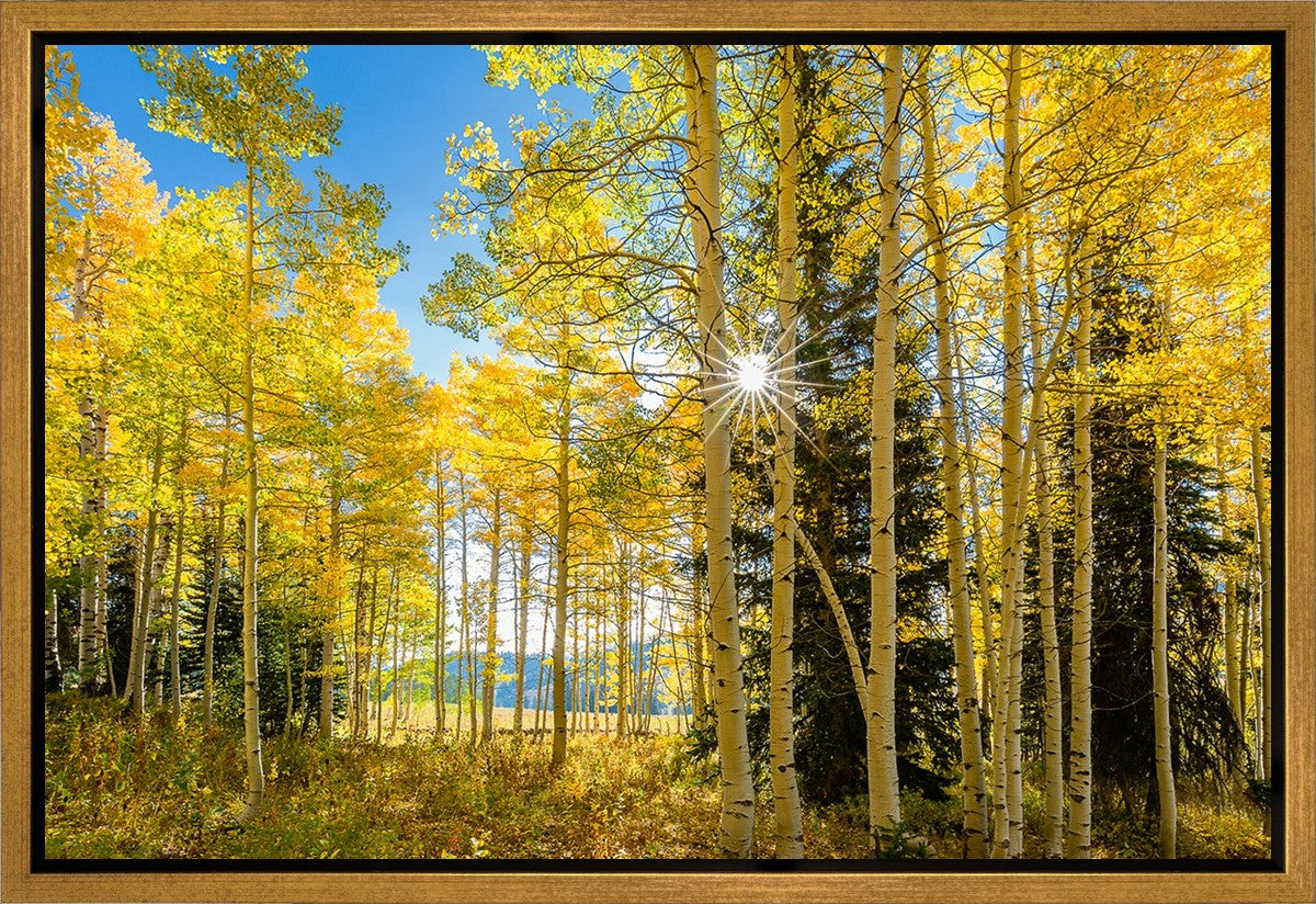 Autumn in the Rocky Mountains, Wasatch National Forest, Utah