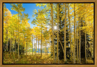 Autumn in the Rocky Mountains, Wasatch National Forest, Utah