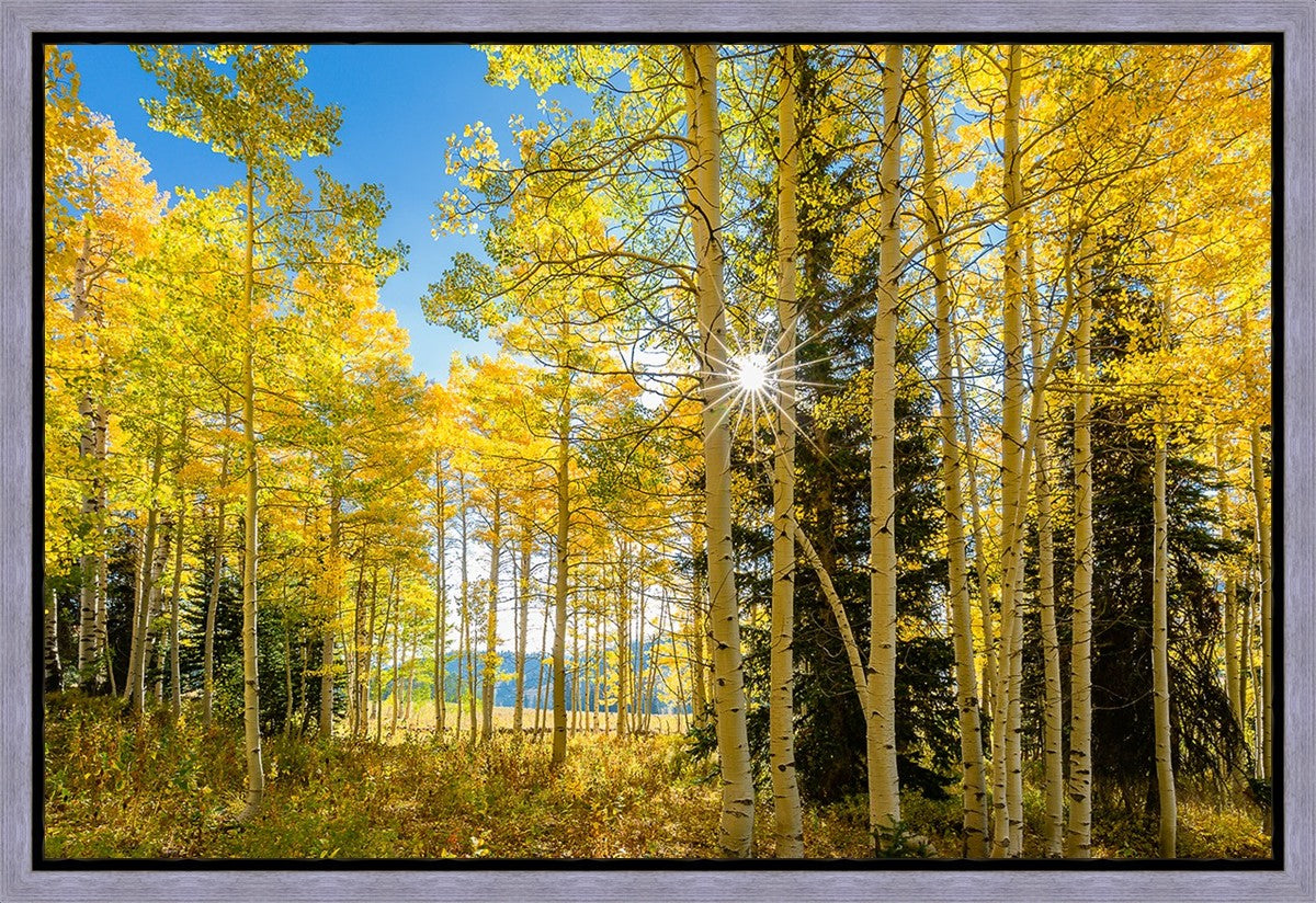 Autumn in the Rocky Mountains, Wasatch National Forest, Utah