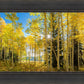 Autumn in the Rocky Mountains, Wasatch National Forest, Utah
