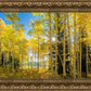 Autumn in the Rocky Mountains, Wasatch National Forest, Utah