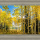 Autumn in the Rocky Mountains, Wasatch National Forest, Utah