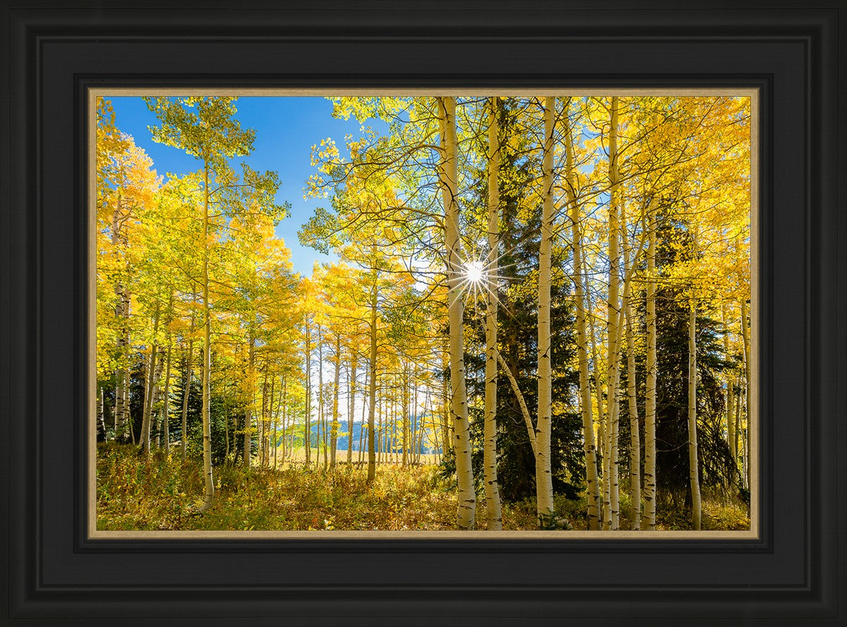 Autumn in the Rocky Mountains, Wasatch National Forest, Utah