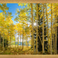 Autumn in the Rocky Mountains, Wasatch National Forest, Utah