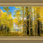 Autumn in the Rocky Mountains, Wasatch National Forest, Utah